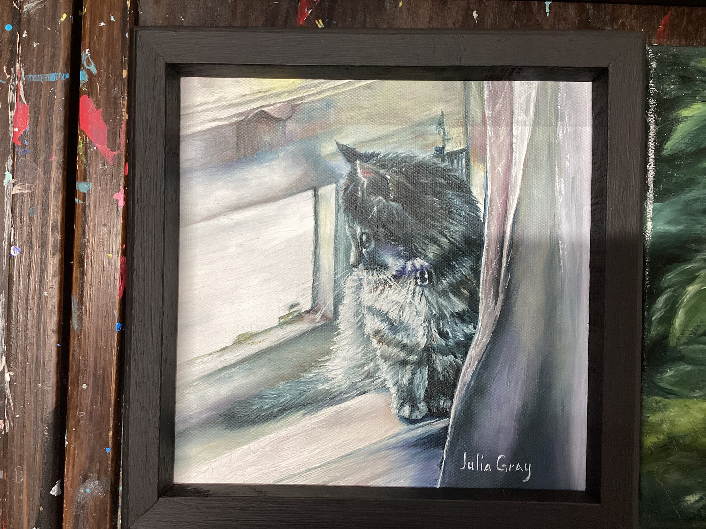 Daydreams Kitten by Julia Gray