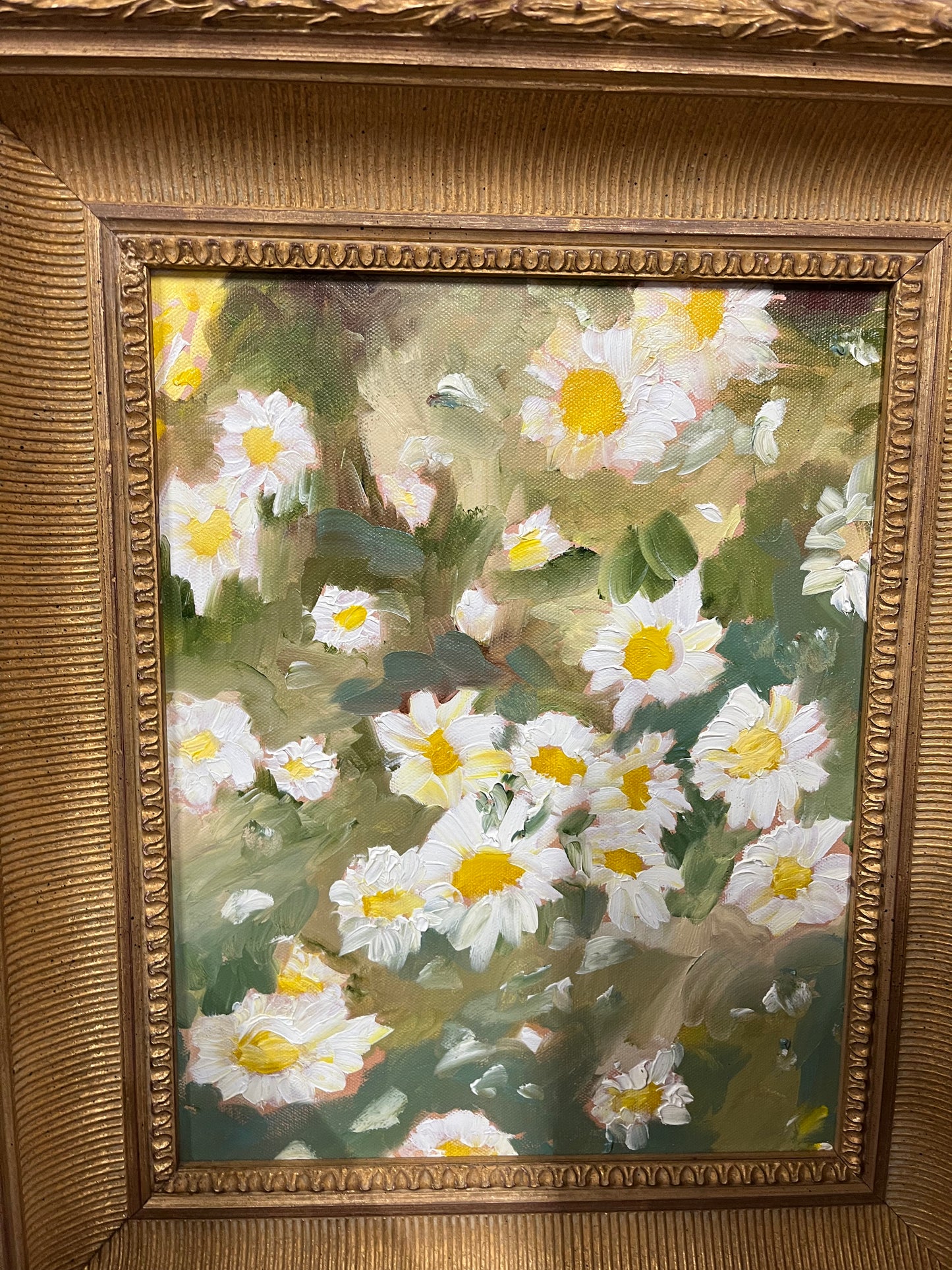 Montana Daisies by Lisa Wallace