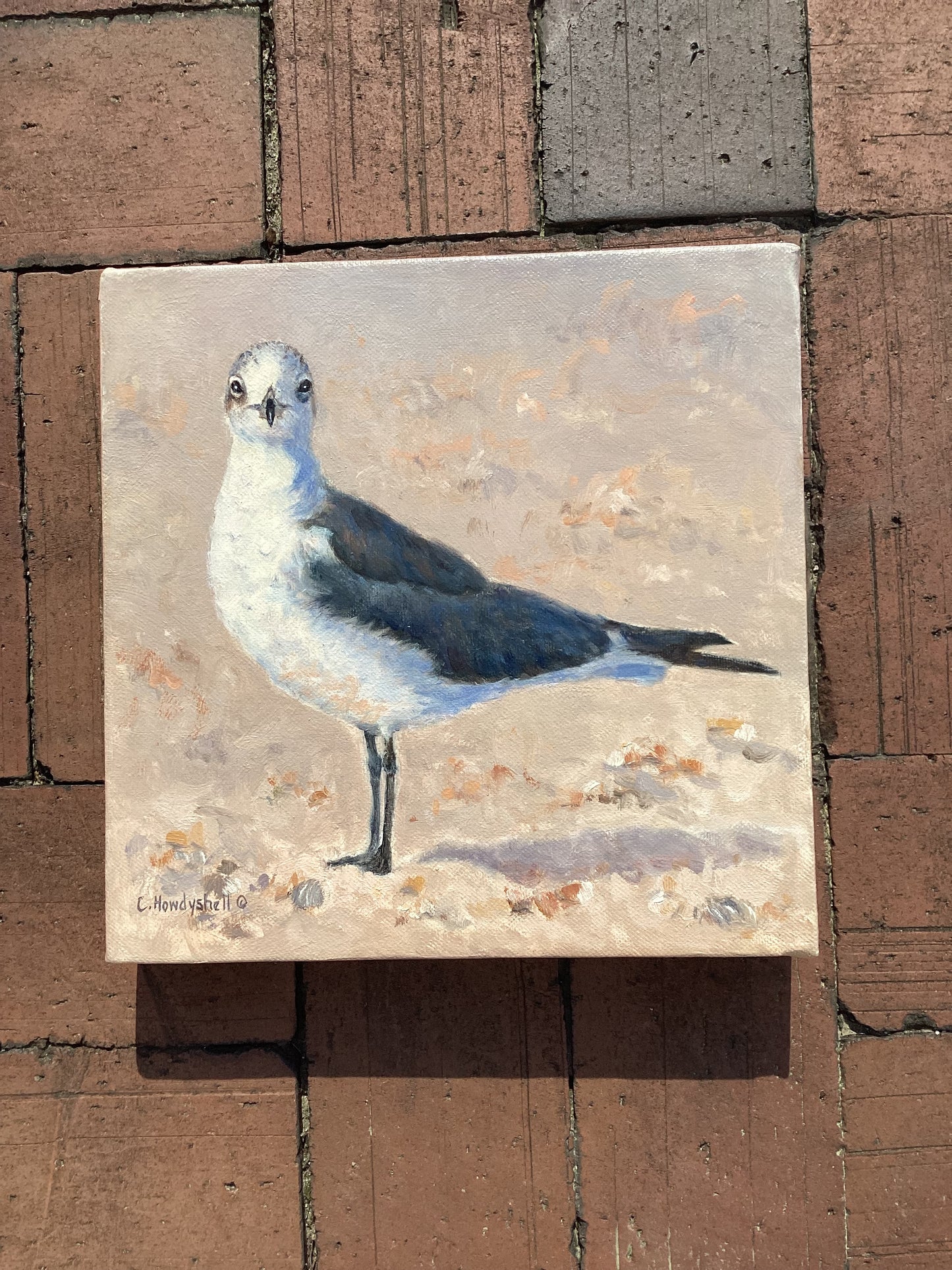 Seagull by Carol Howdyshell