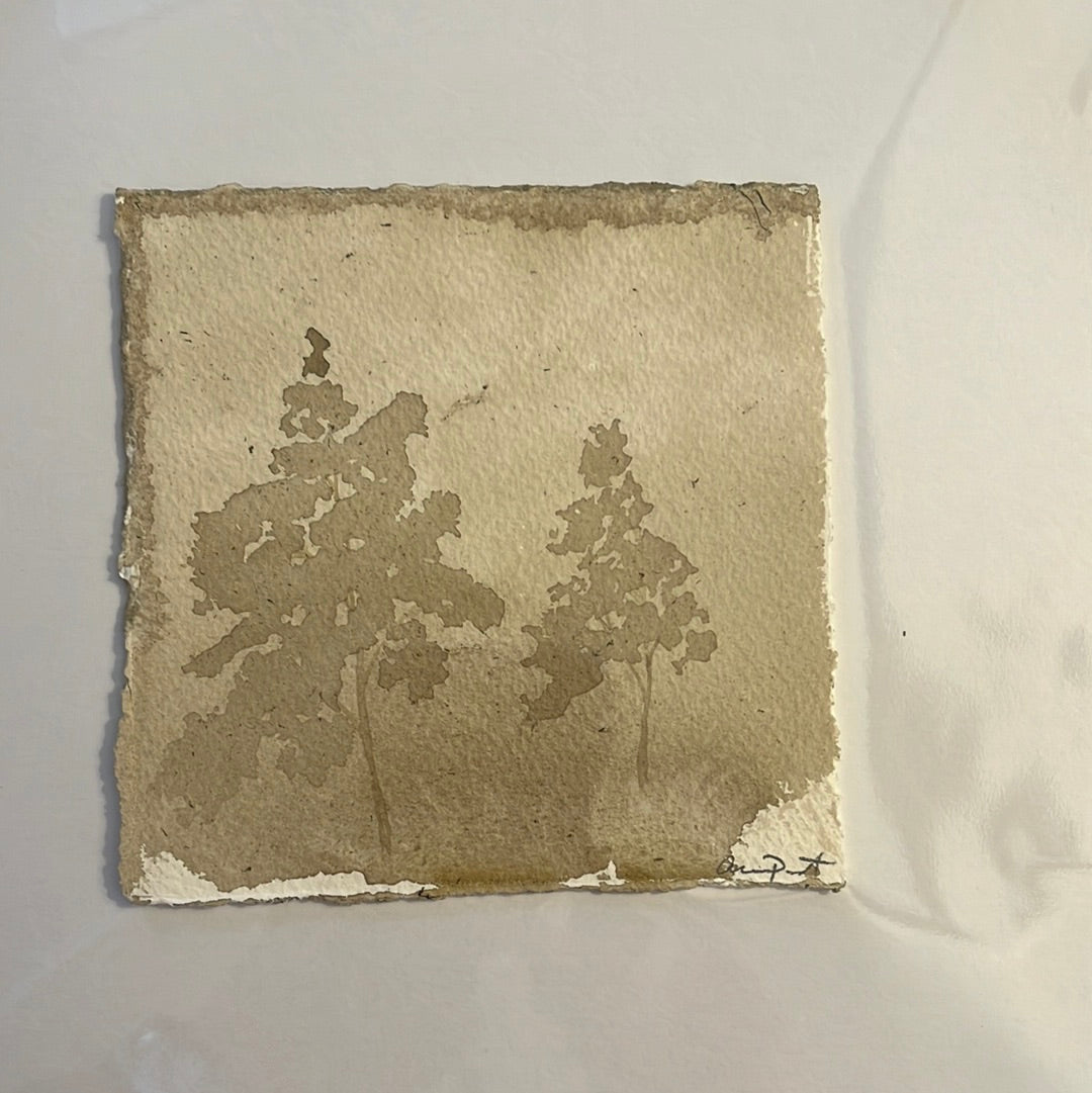 Sepia Trees by Anna Propst