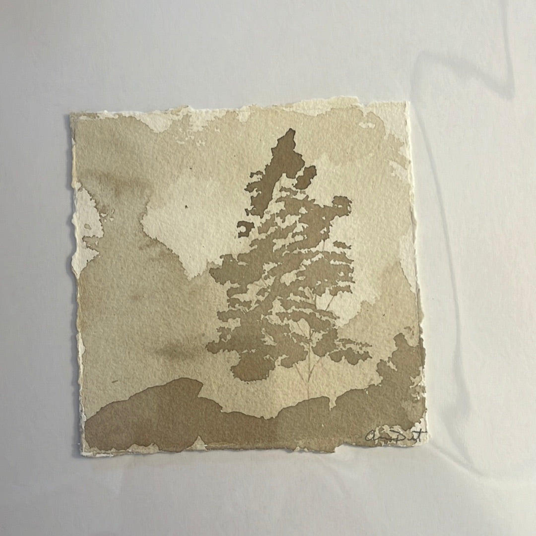 Sepia Trees by Anna Propst