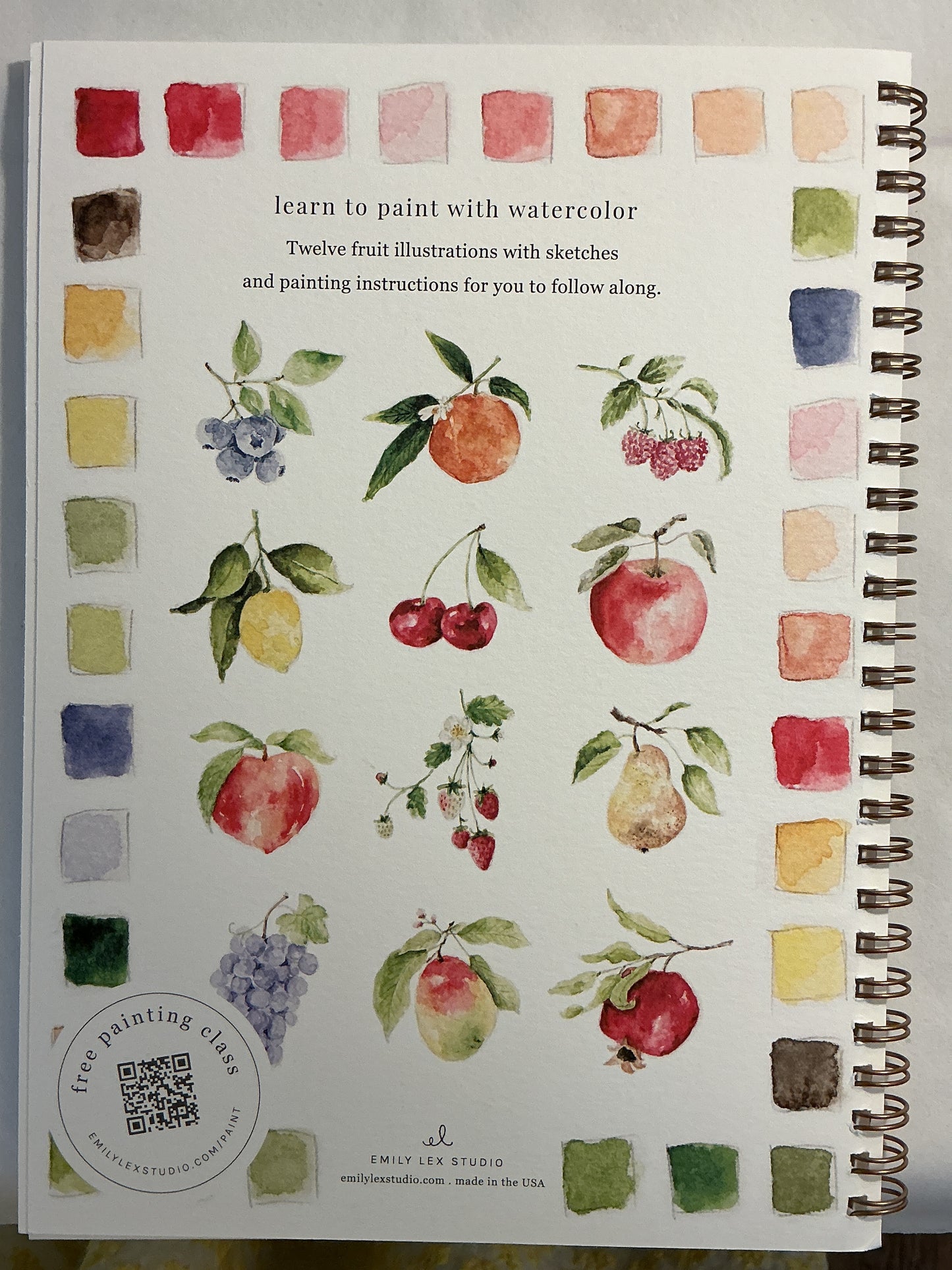 Emily Lex Fruit Watercolor Workbook