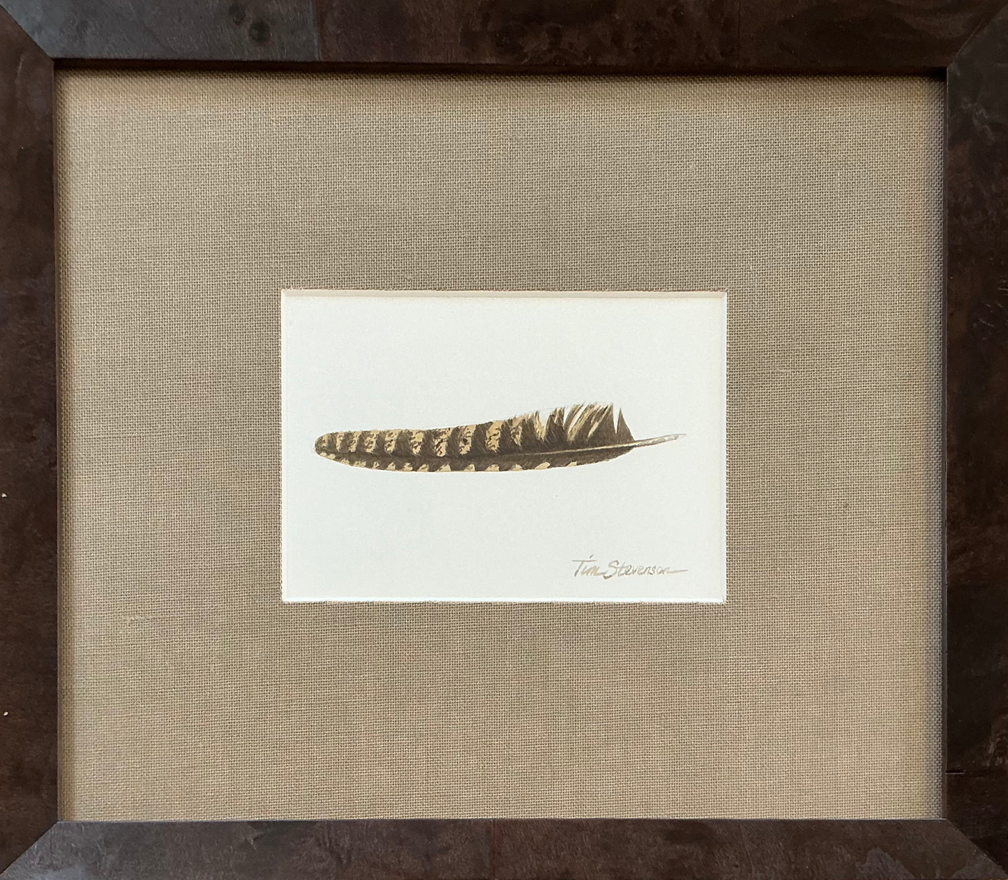 Whippoorwill II, Tim Stevenson Watercolor