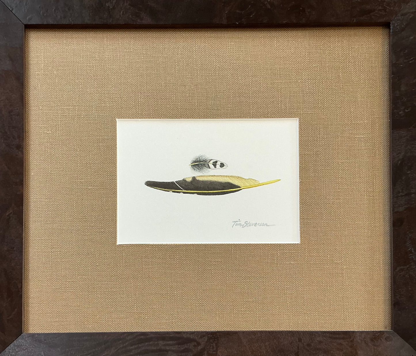 Yellow-Shafted Flicker, Tim Stevenson Watercolor
