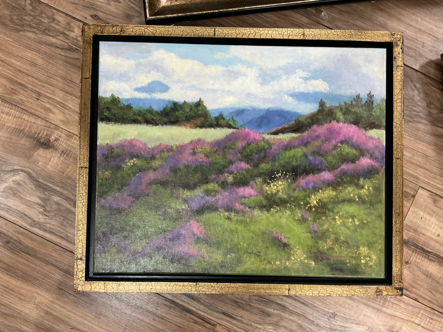 Carol Howdyshell: Road Garden