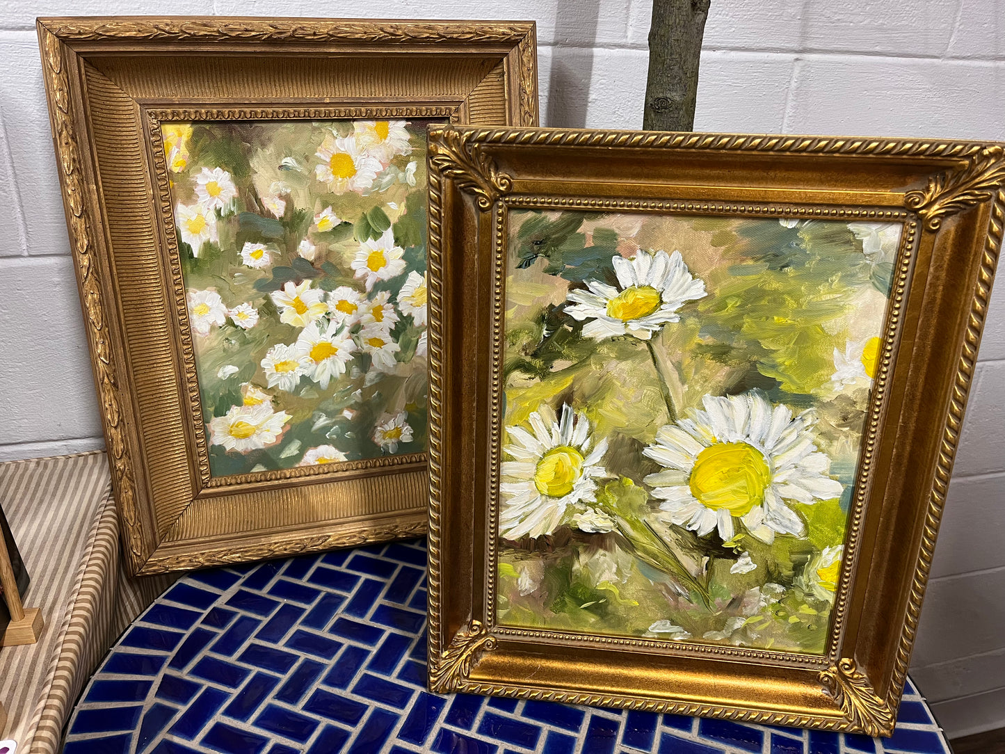 Montana Daisies by Lisa Wallace