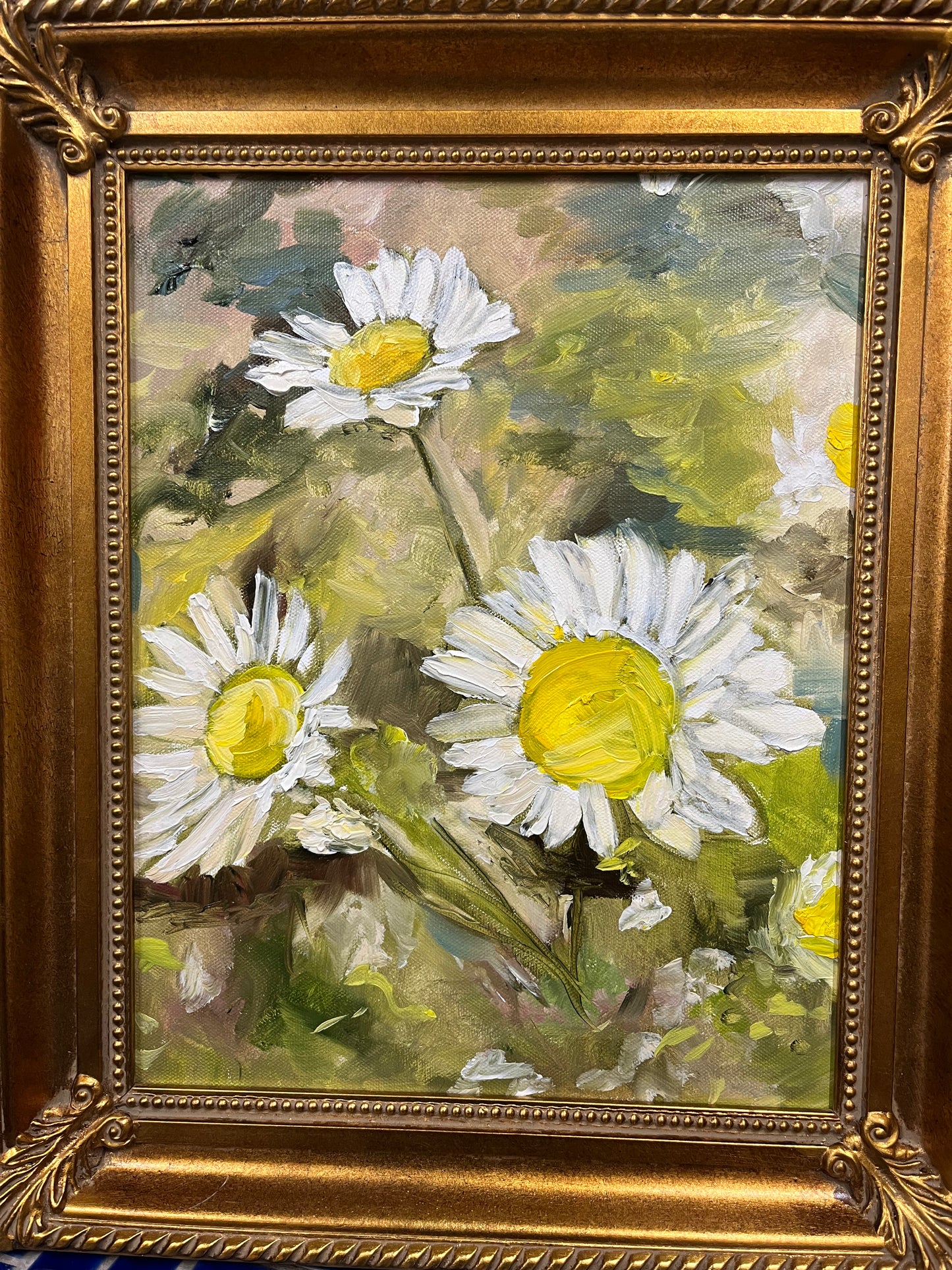 Montana Daisies by Lisa Wallace