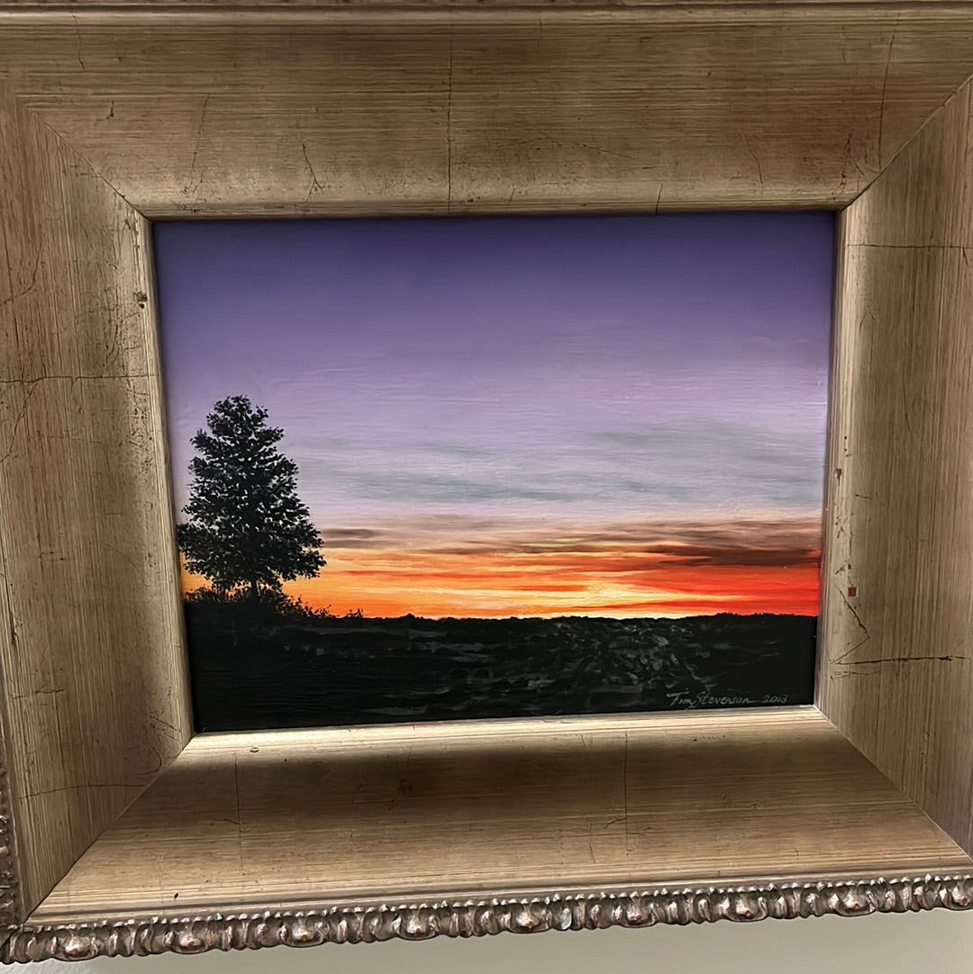 Purple Sunset by Tim Stevenson