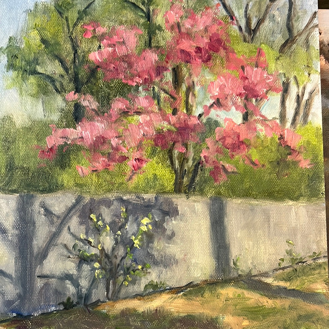 Carol Howdyshell 8x10 landscape paintings