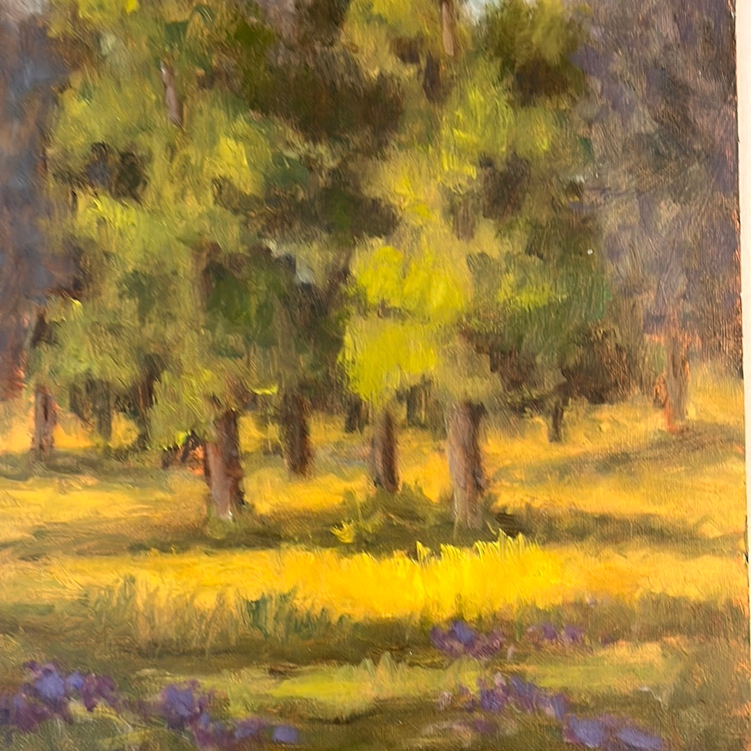 Carol Howdyshell 8x10 landscape paintings