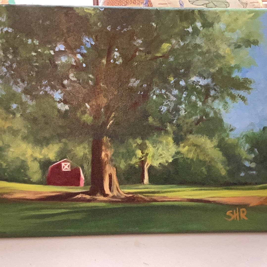 Deibert Park by Sally Reid