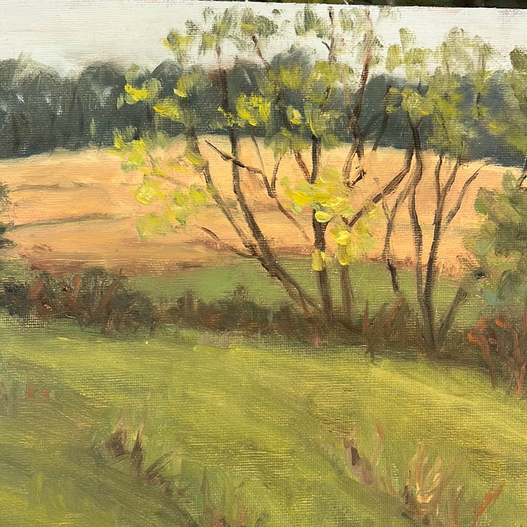 Carol Howdyshell 8x10 landscape paintings