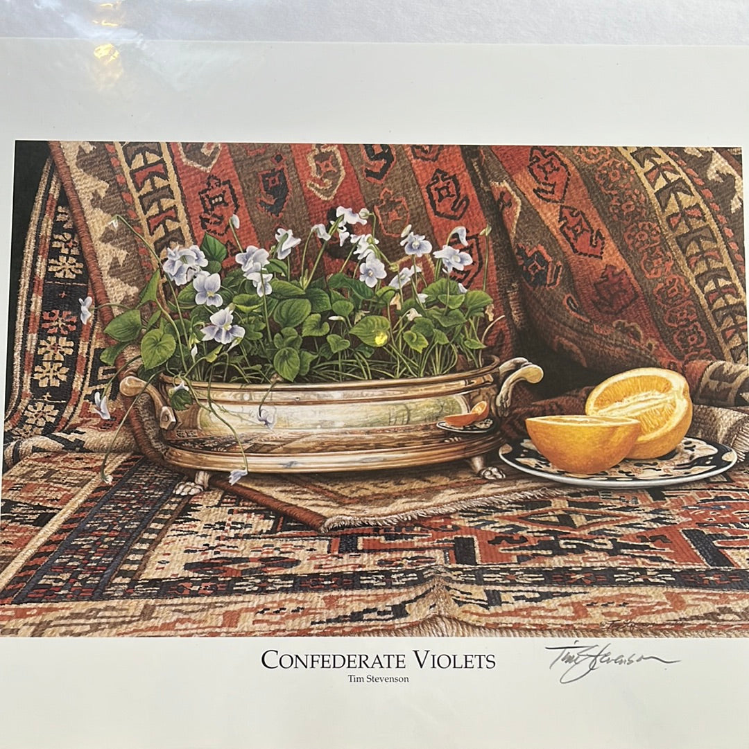 Tim Stevenson Prints