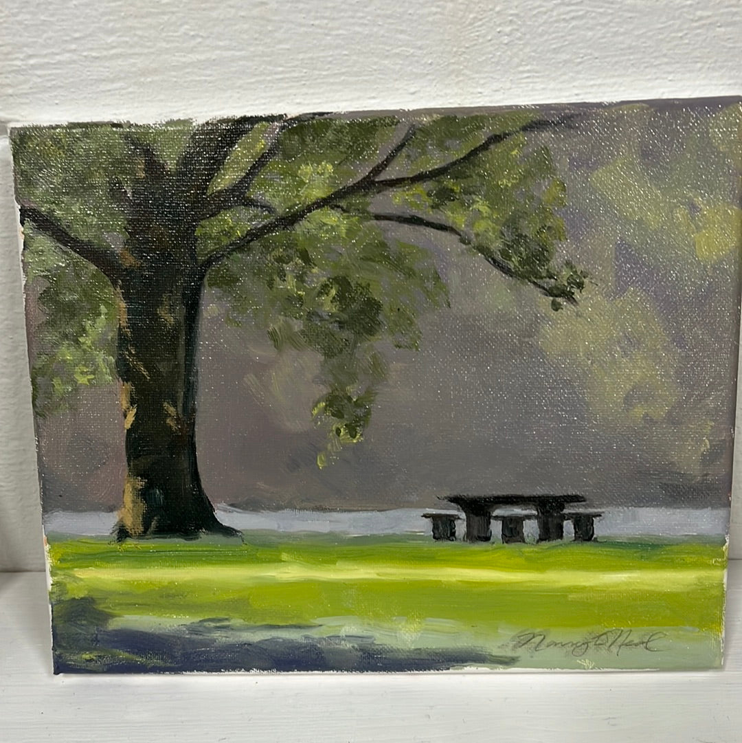 McFarland Morning by Nancy O’Neal