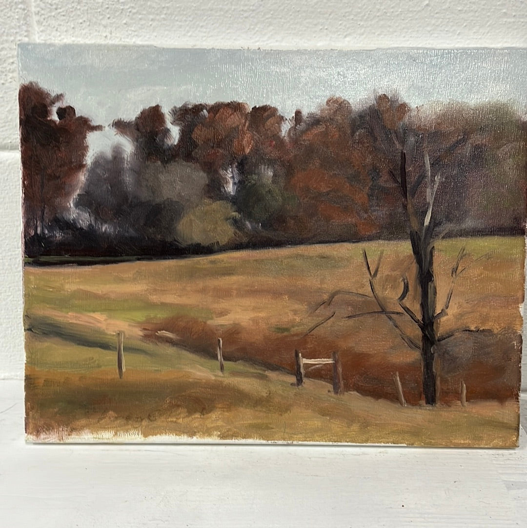 Fall Colors by Nancy O’Neal