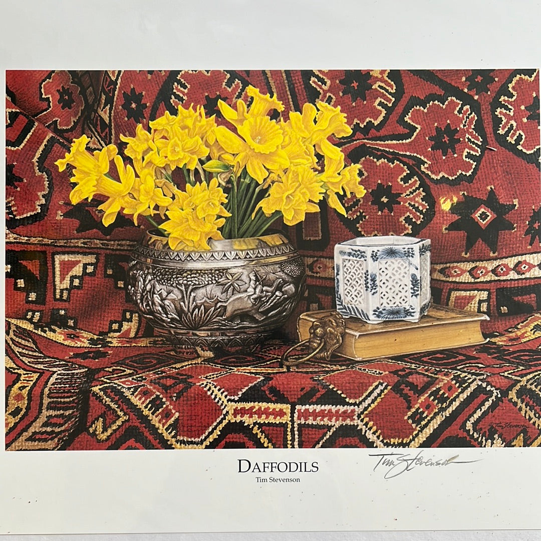 Tim Stevenson Prints