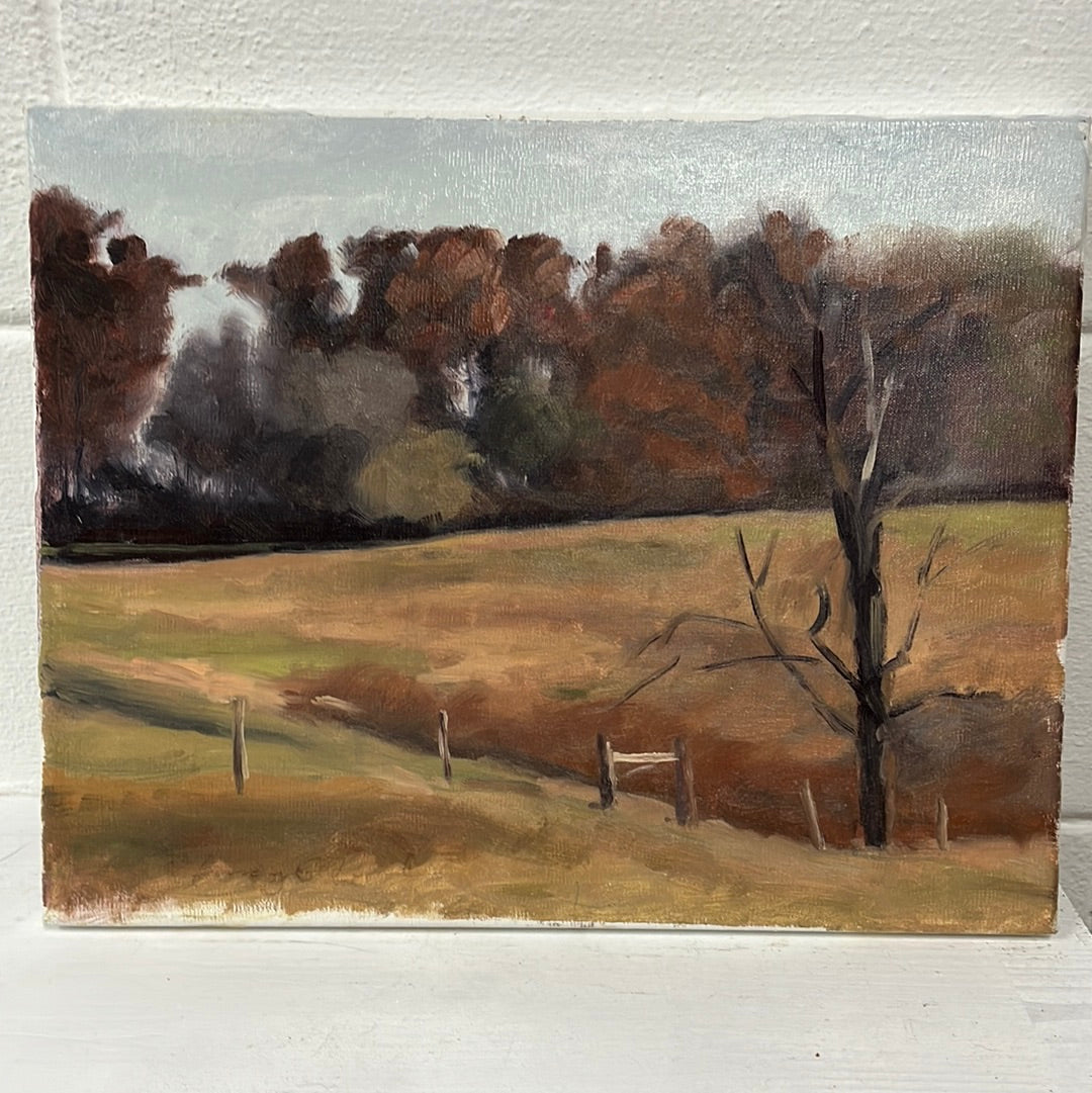 Fall Colors by Nancy O’Neal