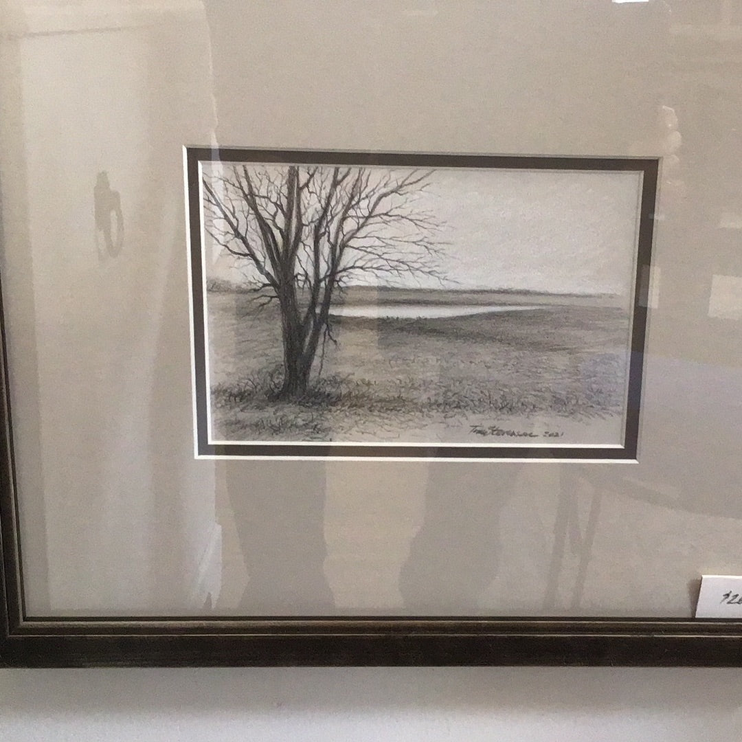 Tim Stevenson Pencil Drawing