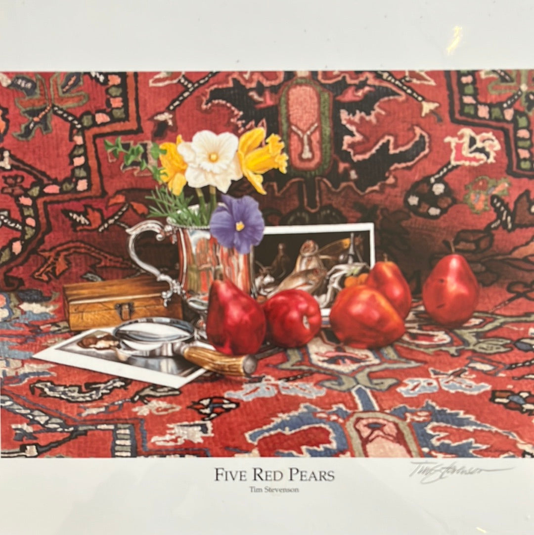 Tim Stevenson Prints