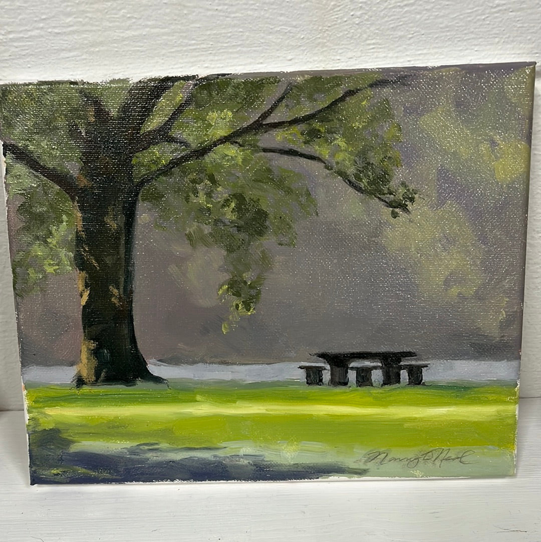 McFarland Morning by Nancy O’Neal