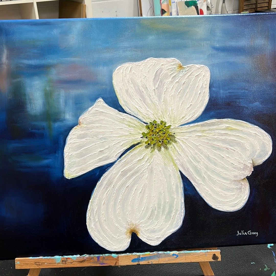 Dogwood Bloom by Julia Gray