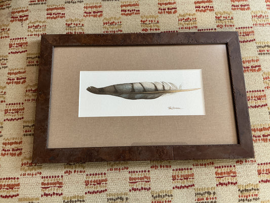 Tim Stevenson Feather