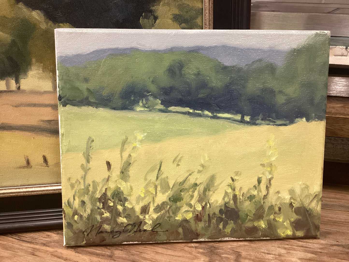 Far blue hills Nancy O’Neal