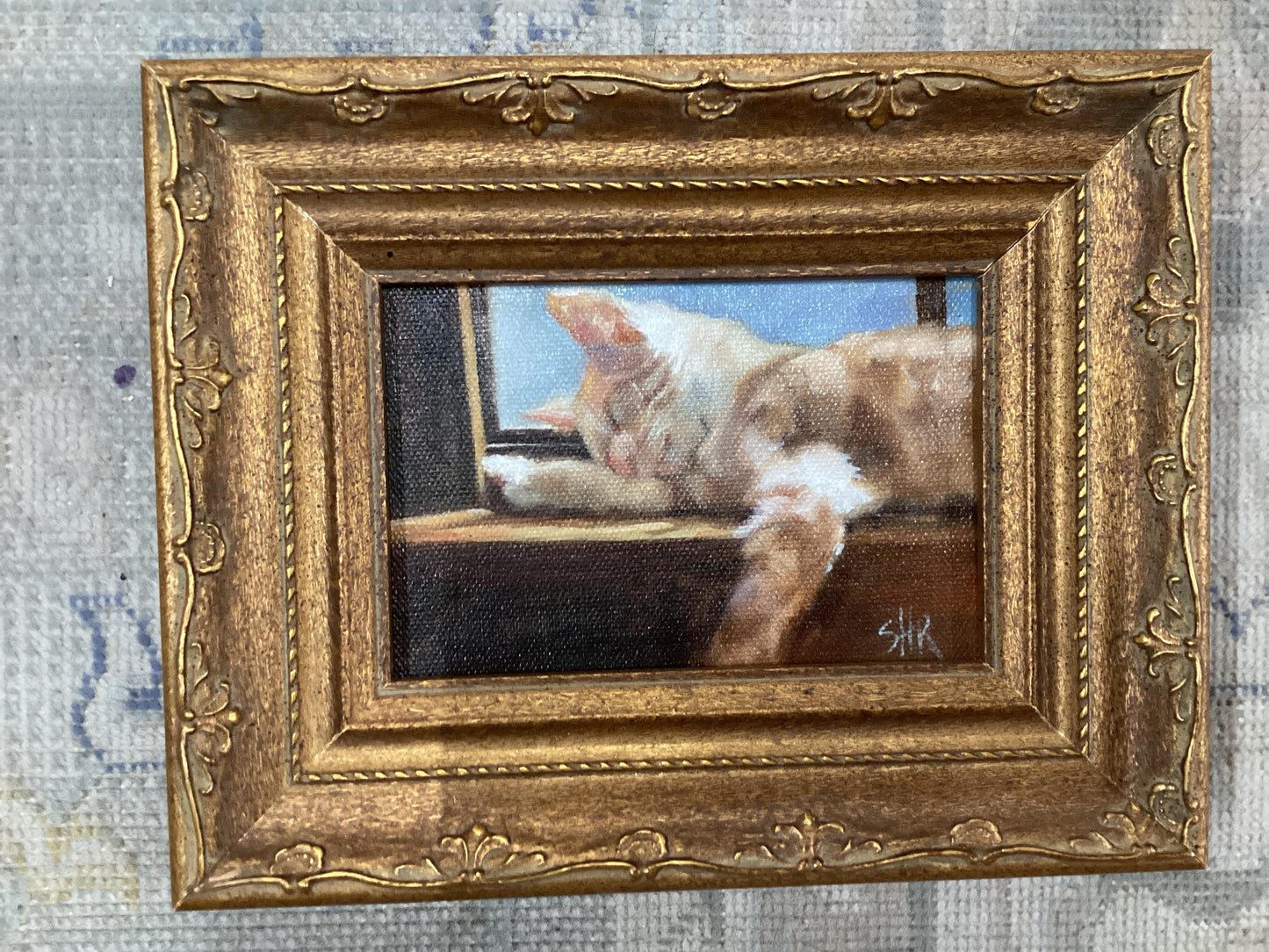 Sunlit Tabby by Sally Reid