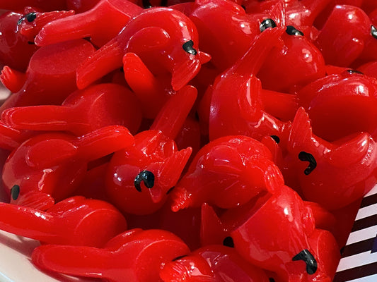 Forever in your Heart Cardinal