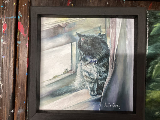 Daydreams Kitten by Julia Gray
