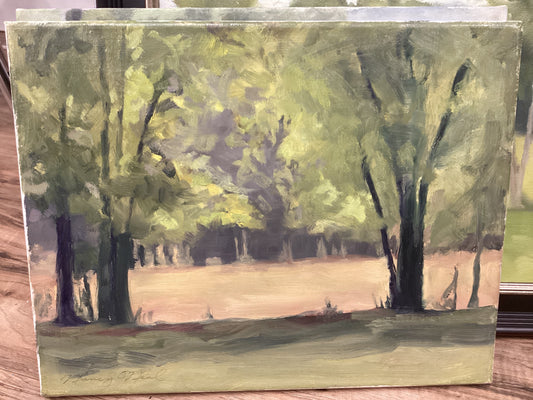 City Land Looking South by Nancy O’Neal