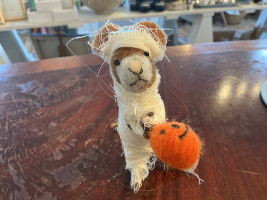 Mummy Mouse