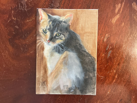 Sally Reid Tabby