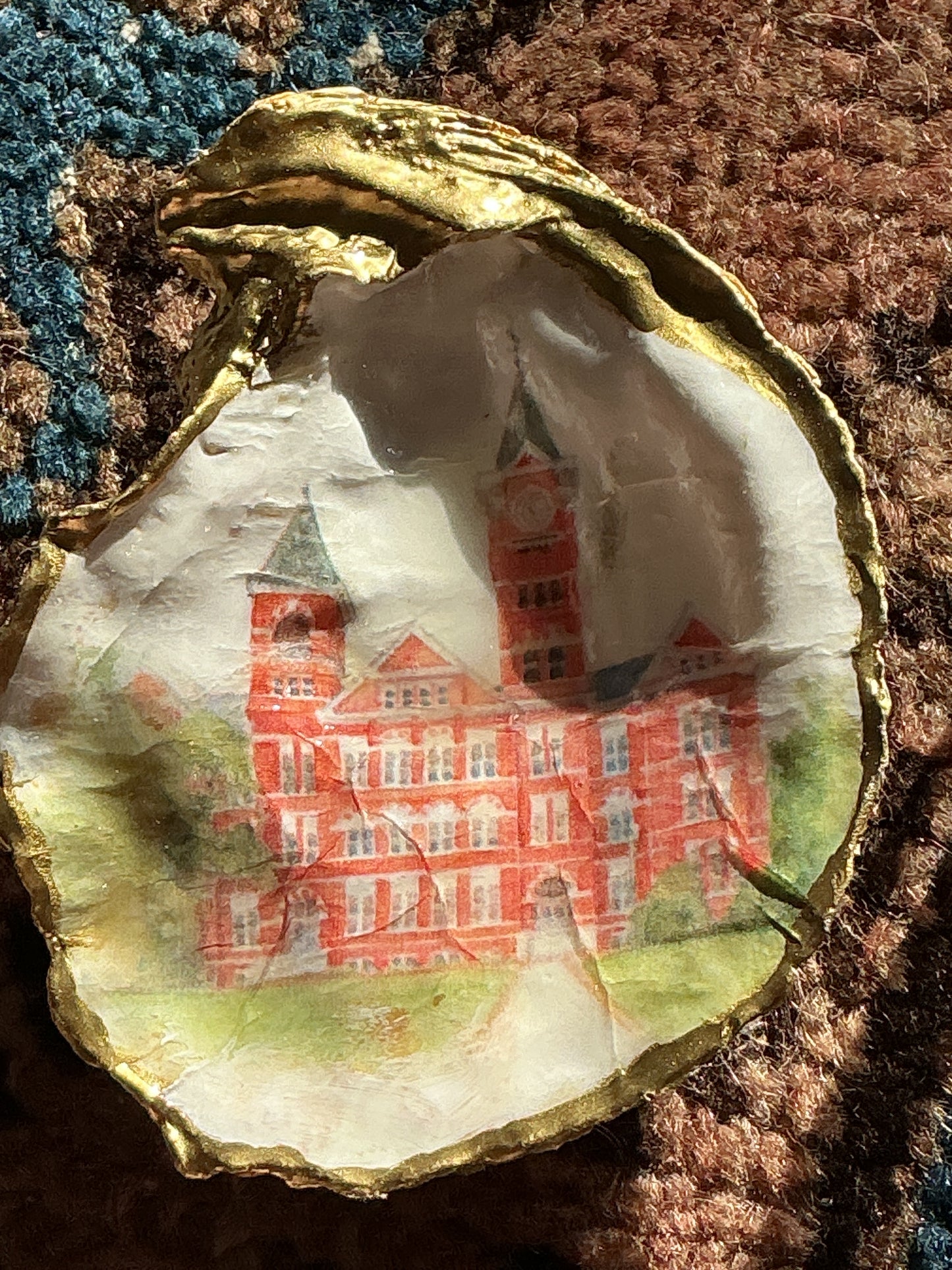 Stanford Hall Auburn Shell w/acrylic stand