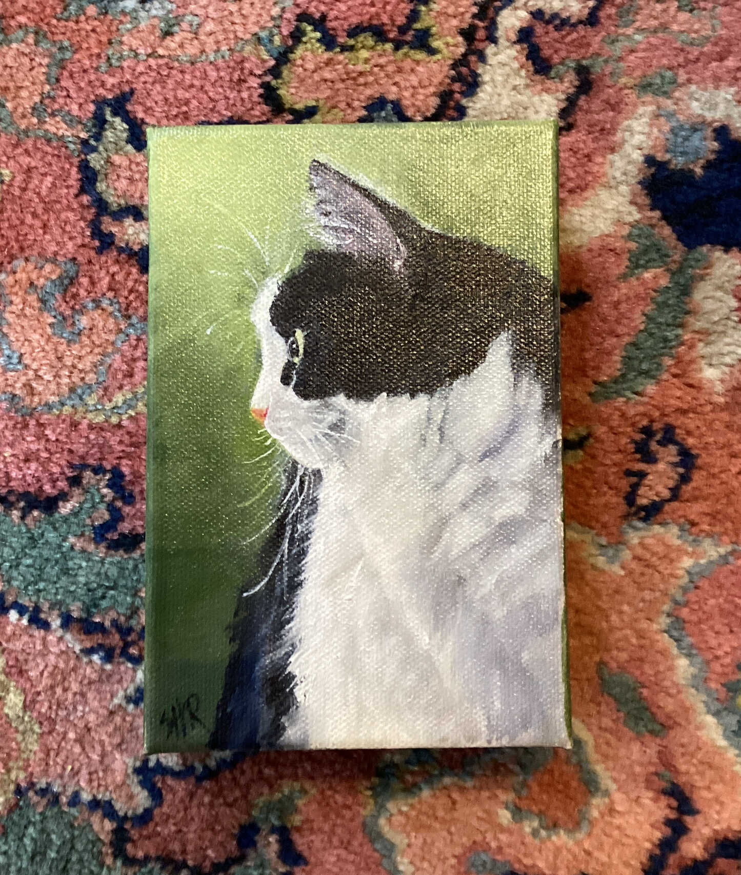 Whiskers by Sally Reid