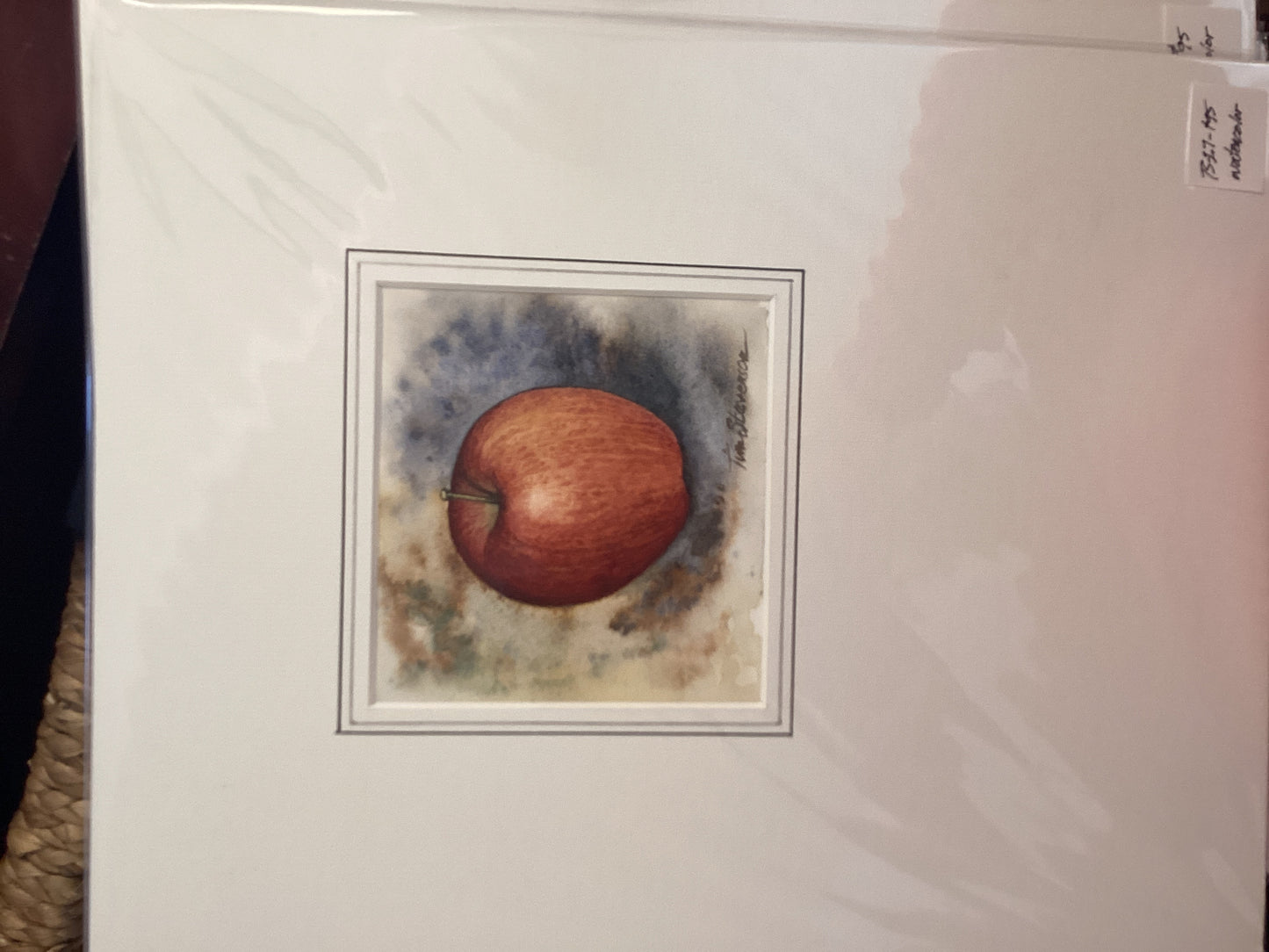 Tim Stevenson Fruit