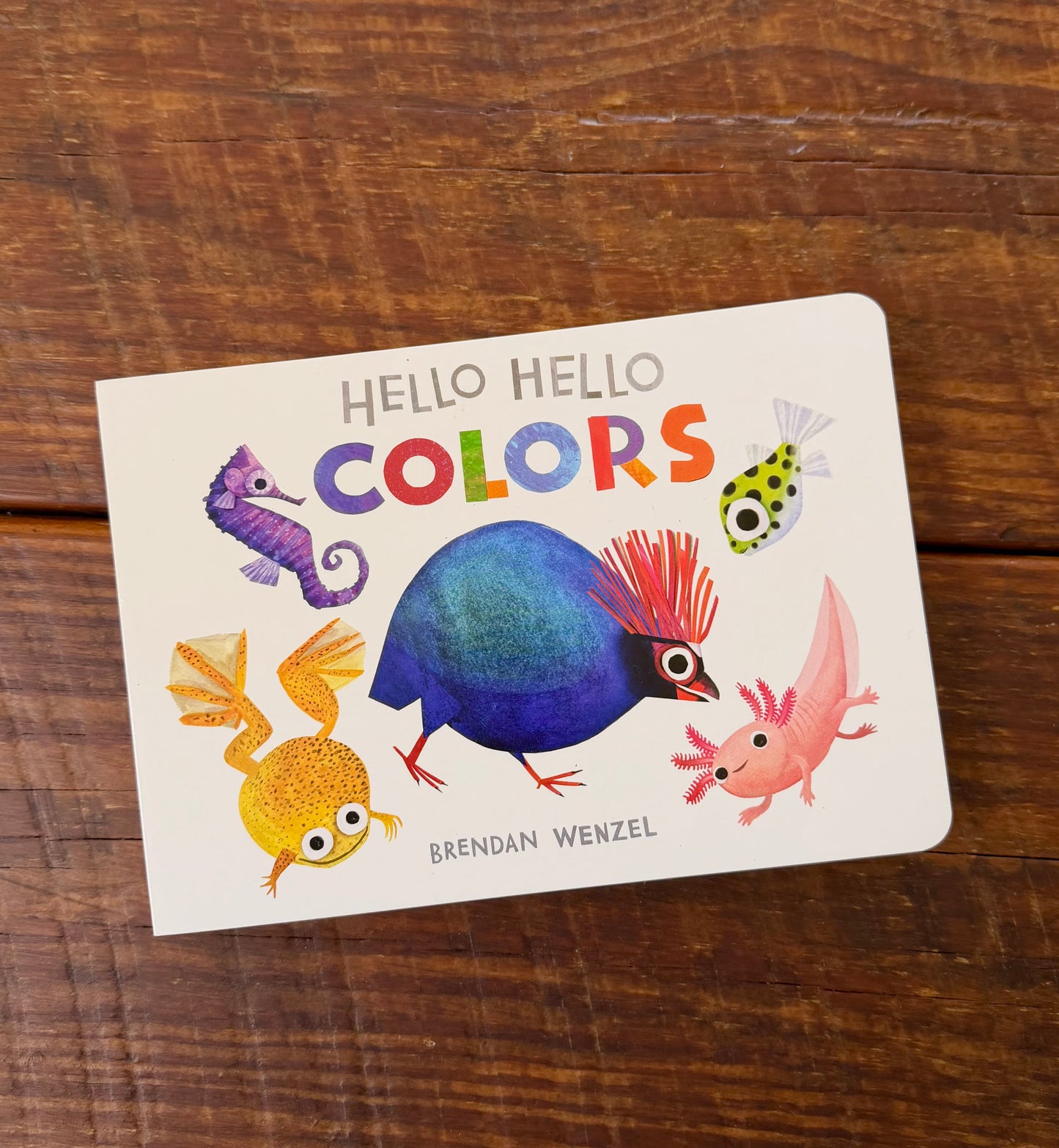 Hello Hello Colors by Brendan Wenzel