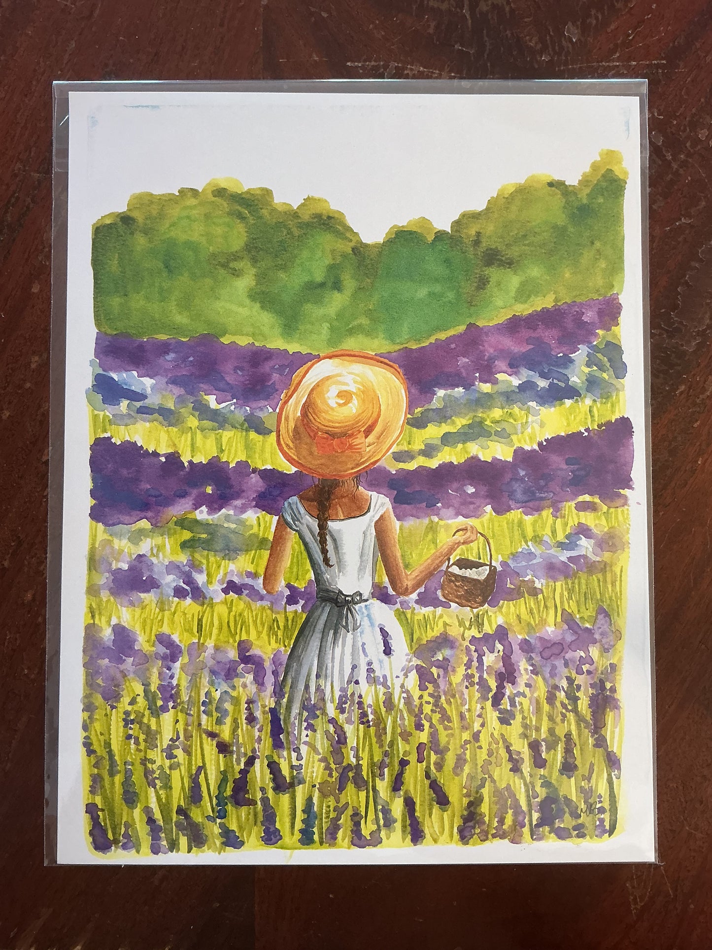 Lavender Fields Forever 9x12