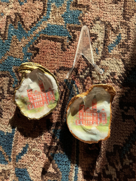 Stanford Hall Auburn Shell w/acrylic stand