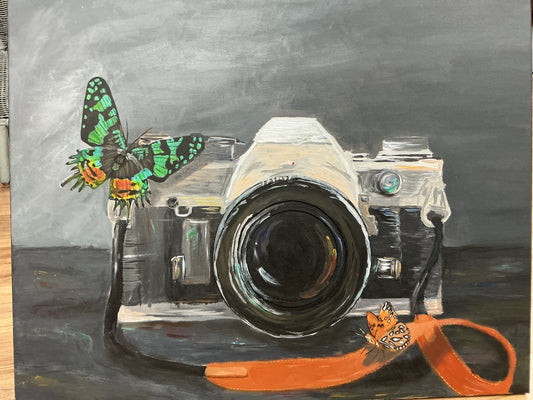 “Through the Lens”