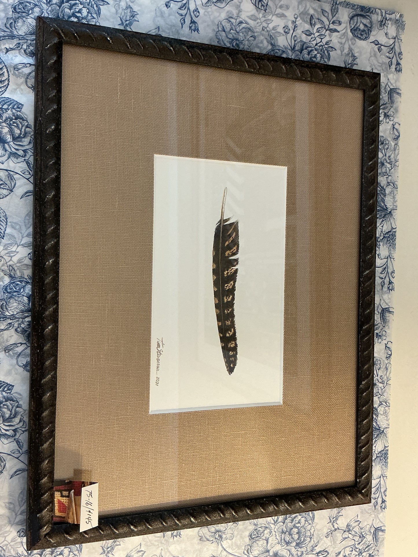 Tim Stevenson Whippoorwill Feather