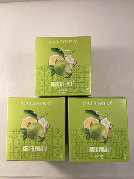 Caldrea Ginger Pomelo Candle