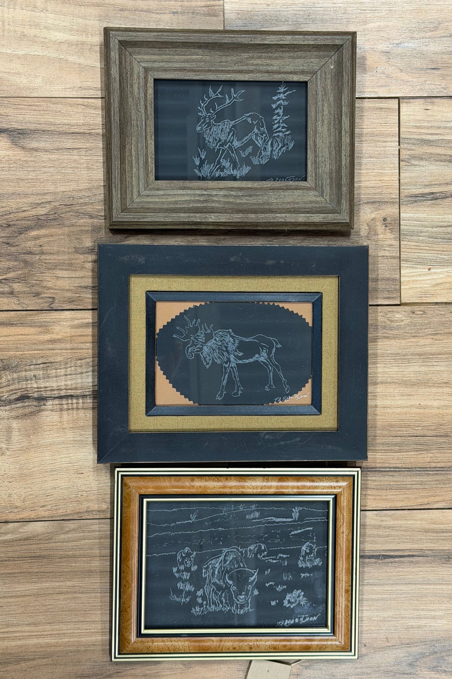 Etched Glass TR Framed Moose,Deer,Buffalo