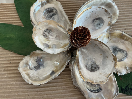 Oyster Magnolia by Marshall