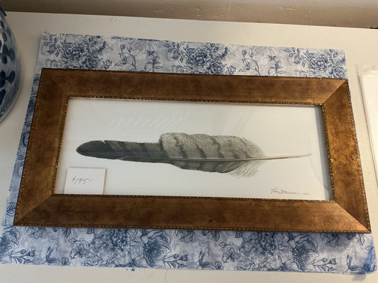 Tim Stevenson RedTailed Hawk Feather