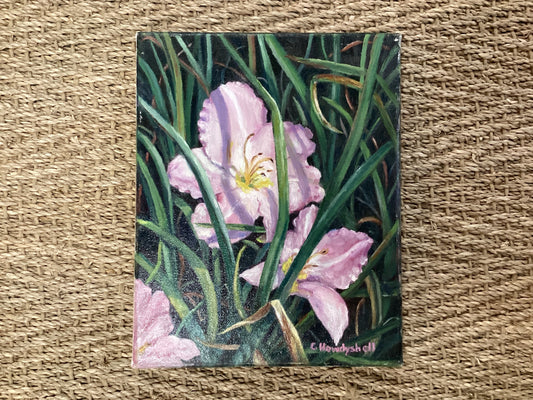 Purple Flowers in Grass by Carol Howdyshell