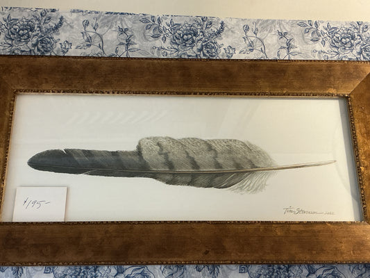 Tim Stevenson RedTailed Hawk Feather