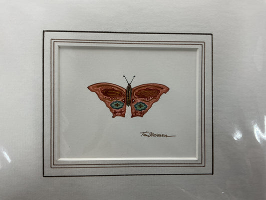 Butterfly Tim stevenson