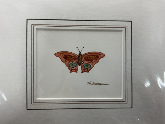 Butterfly Tim stevenson