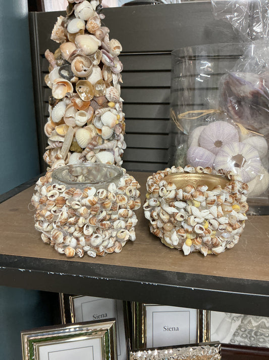 XS Shell Vase